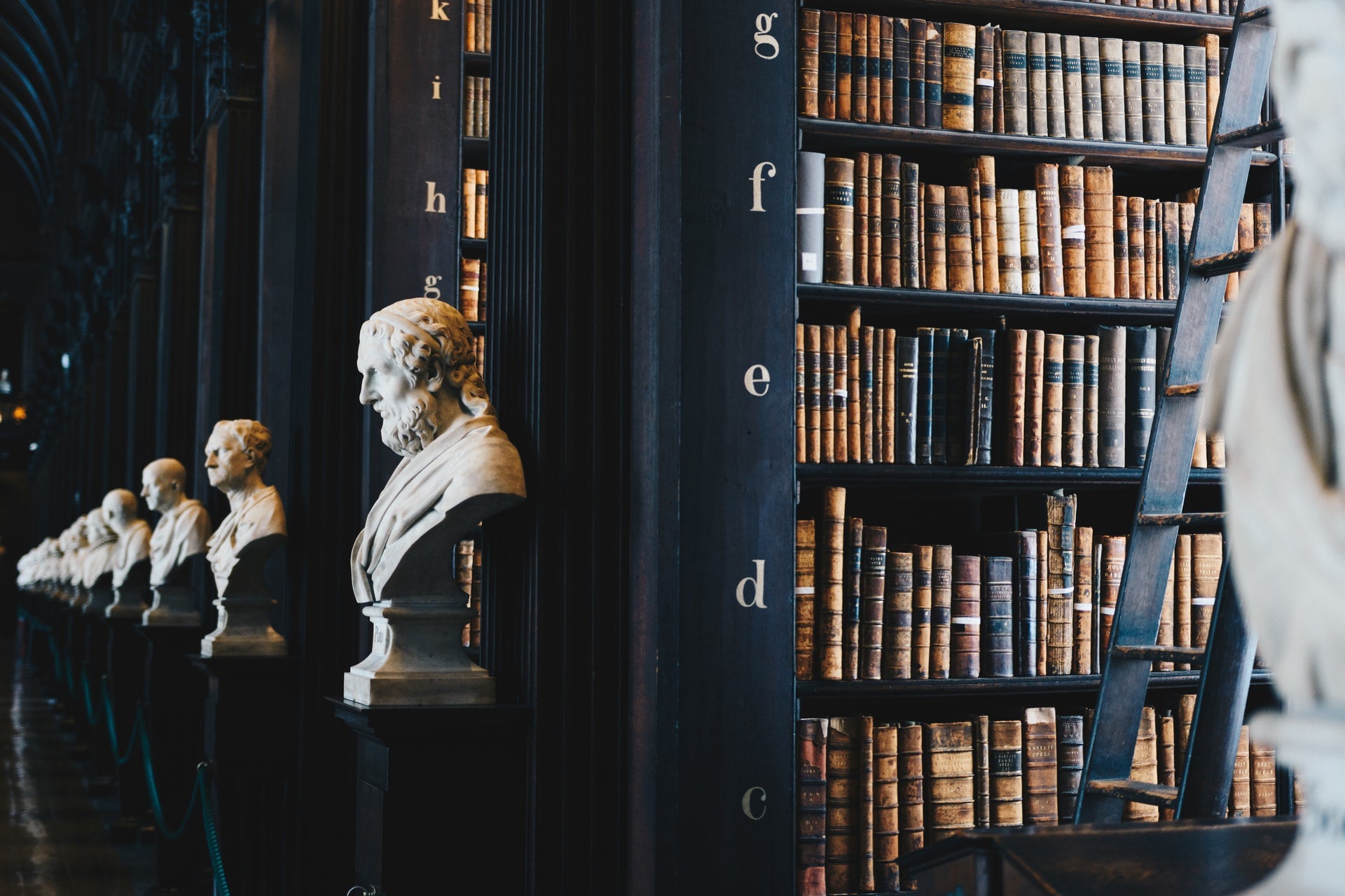 inside an old library with roman busts on display
