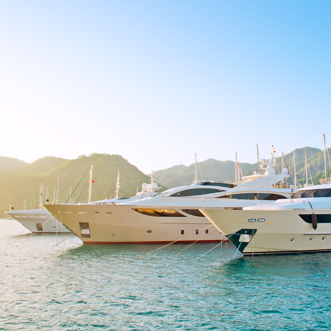 A group of yachts docked in calm waters with mountains in the background.